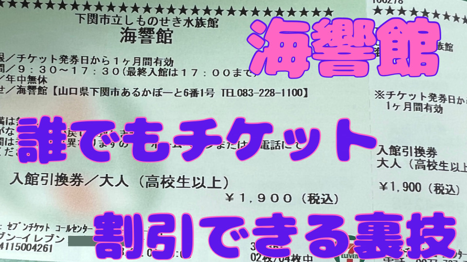 海響館】誰でもチケットを割引で買う裏技はこれ！ | 好きなものに囲ま